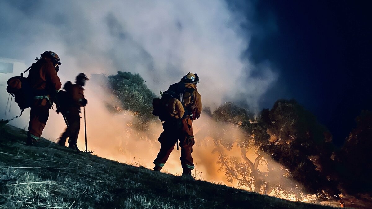 Cal Fire: West Coast Fires