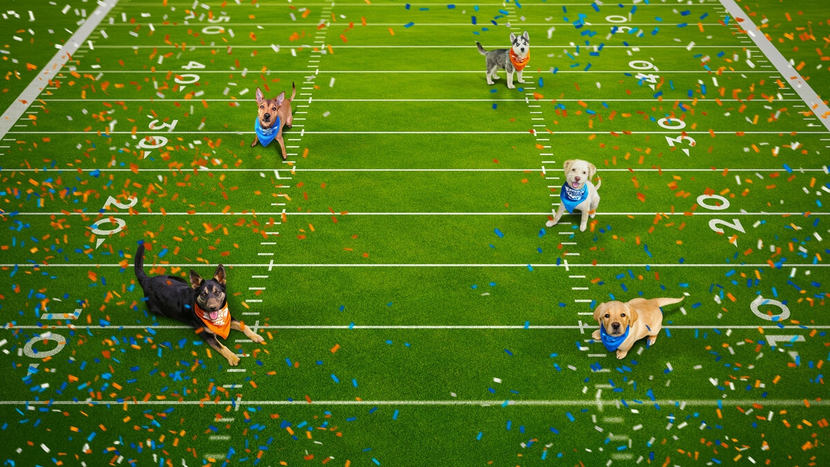 Puppy Bowl Presents: 20 Years of Puppies